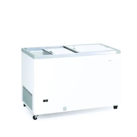 Pas Cher Congélateur Coffre 500L -26ºC à -12ºC - GTO500GI