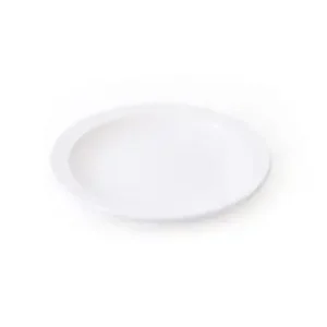 10 ASSIETTES PLATES 22.5 CM MELAMINE BLANCHE Remise