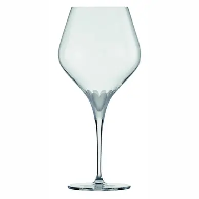Livraison Gratuite Verre à vin Bourgogne Schott Zwiesel Finesse Fleur 660 ml (6 pièces)