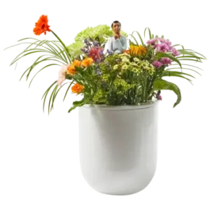 Exclusif Vase POLSPOTTEN Day Dream